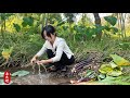 Harvest fresh taro &amp; make delicious village dish | Organic Countryside food