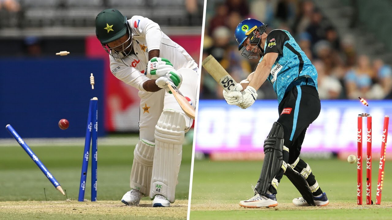 Best deliveries of the week, December 16-22 | Saturday Seeds