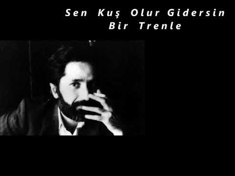 Cahit Zarifoğlu - Sen Kuş Olur Gidersin Bir Trenle