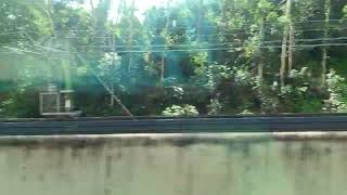MTR KTL C-train 藍田入站前同M-train相遇