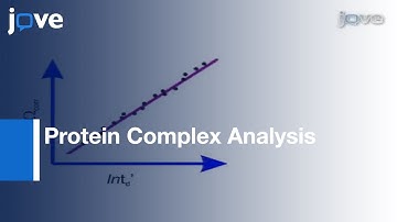 T-wave Ion Mobility-Mass Spectrometry: Basic Experimental Procedures l Protocol Preview