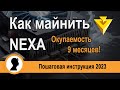 Как начать майнить Nexa. Окупаемость 9 месяцев.