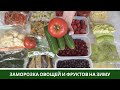 Заморозка Овощей На Зиму🍆 Овощи, Смеси, Фрукты