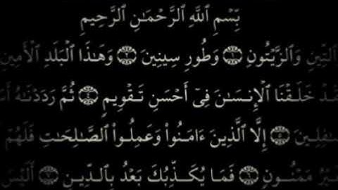 تلاوة رائعة من سورة (التين )للقارء رعد محمد الكردي