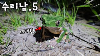 결국 찾았습니다! 이게 말이 되나요?? 초희귀종 대박터졌다...! [ep.5]