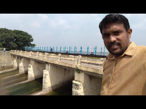 Weekend Trip To  Perumal lake / Cuddalore/Weekend Food & Travel