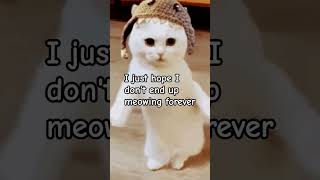 funny memes cute idk butifyoucloseyoureyes