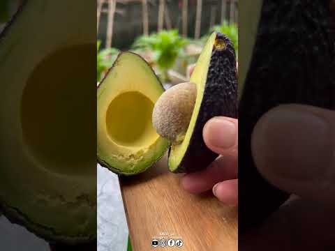 الافاكادو بالعسل