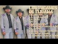 El Tucanazo-Los Tucanes de Tijuana-Year