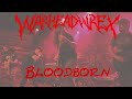 Warhead wrex  bloodborn