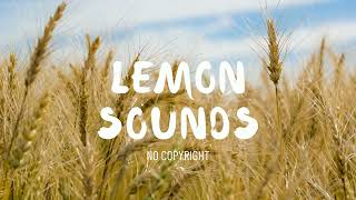 NOWË - Money (Lemon Sounds – No Copyright)
