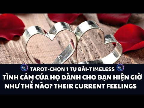 Chọn 1 tụ bài: Tình cảm của họ dành cho bạn hiện giờ như thế nào? Their current feelings (TIMELESS)