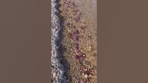 ΦΑΡΟΣ ΑΙΓΙΝΑΣ ΜΩΒ ΤΣΟΥΧΤΡΕΣ ΧΑΜΟΣ