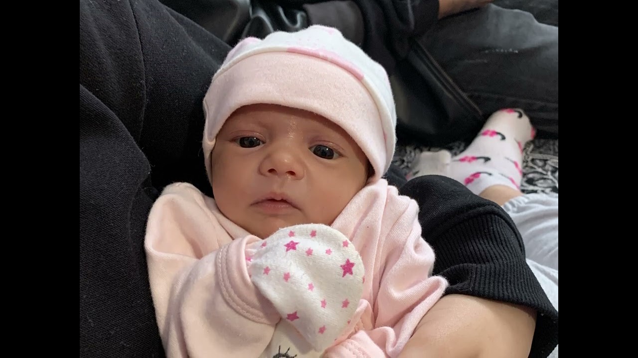 YAZAN KALEM SYAH FtFatma Yazar feat Senol Tezcan