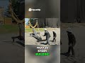 Epic Final Blow Can This Rock Save the Day