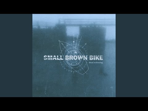 Small Brown Bike — The Vacuum
