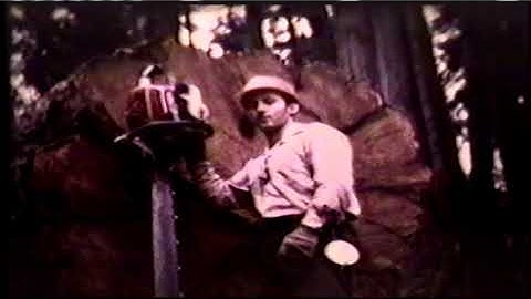 Hoofdstuk 5. Een toast op de houthakkers (2025-versie). Bonusmateriaal. Nieuw voor 2025.