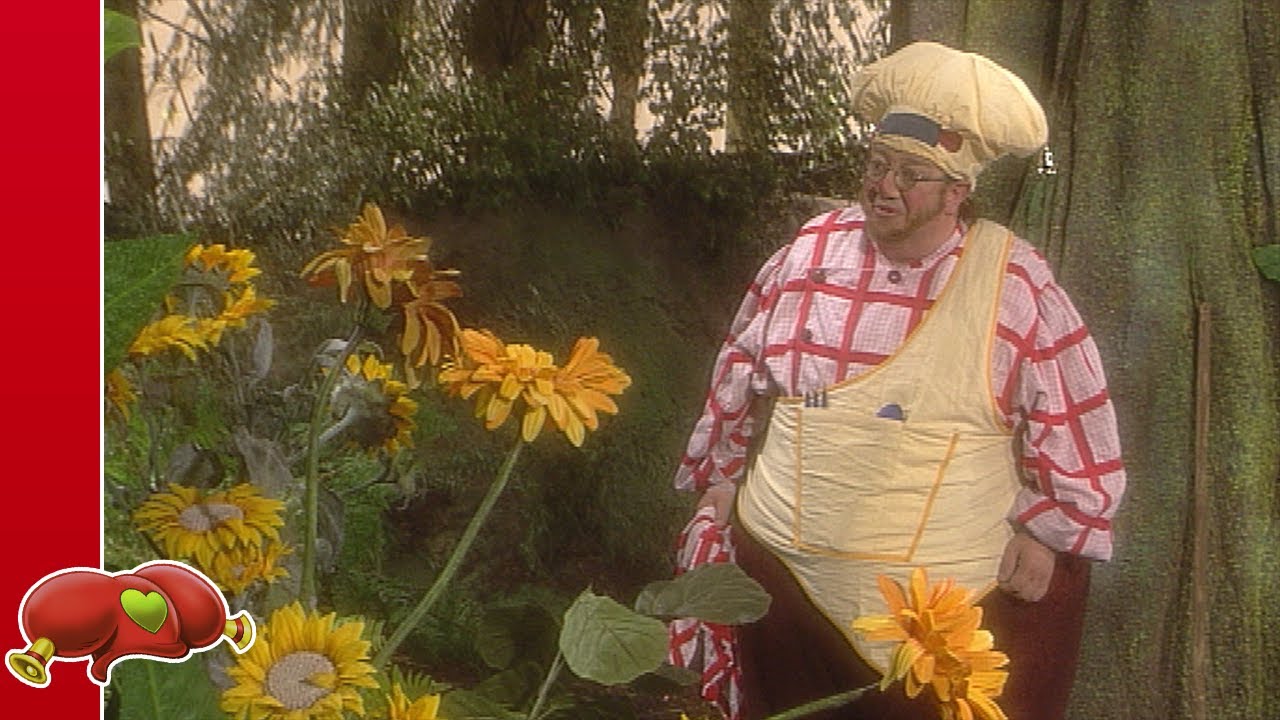 Kabouter Plop - Het bloemperkje