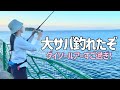 横須賀の大サバが釣れたのはダイソーのあのルアーだった・・・【2024.6】