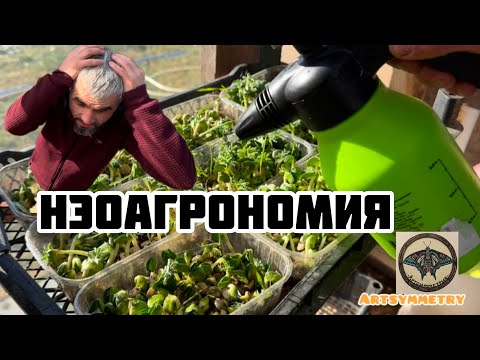 Микро зелень!Подготовка условий для выращивания.Мастер-класс Контент!