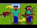 ЗАРАЗИЛ СТИВА ЧЕРВЕМ В МАЙНКРАФТ Minecraft Parasites Mod