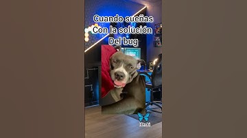 #programmer #dev #memeprogramacion #humor #java #javascript #meme #bug #python #it #ia #memes #sonic