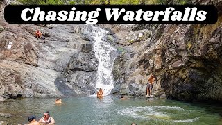 Mount Tamborine - Cedar Creek Falls & Curtis Falls, Gold Coast Hinterland