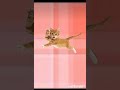 #dance #funny