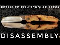 Disassembly Of The Petrified Fish Scholar PFE04 Pocket Knife