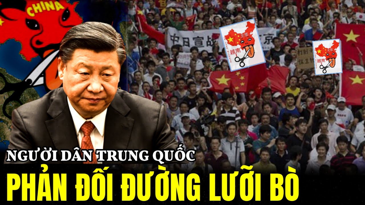 Dư Luận Trung Quốc Phản Đối Đường Lưỡi Bò Của Trung Quốc | Lịch Sử Quân Sự