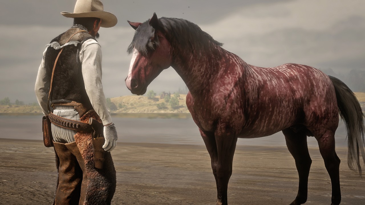 John Marston Tames Rare Criollo Bay Brindle Horse on Secret Island | RDR2