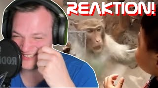 Versuche NICHT zu lachen😆 | Zazu Reaktion
