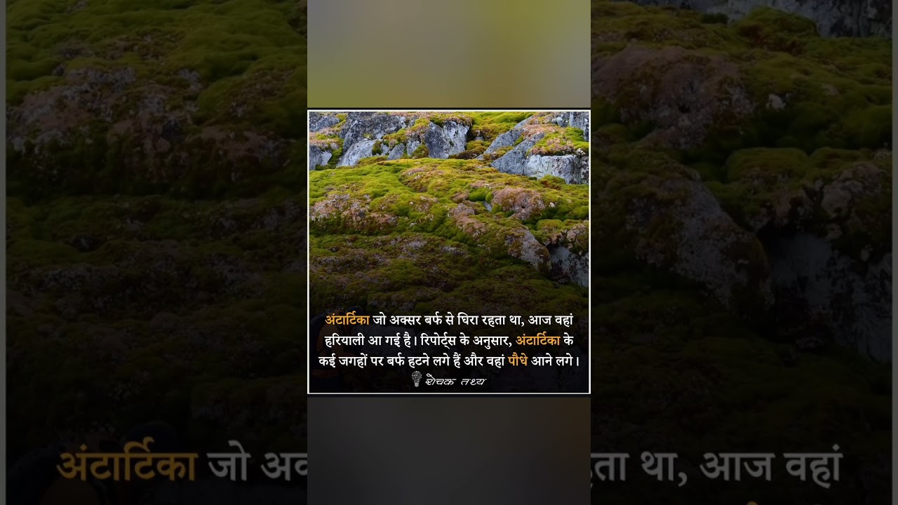 Antarctica se pighalne Lagi Barf aur a gaye PED paudhe 