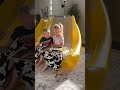 Fun &amp; Calming Sensory Space for Kids!