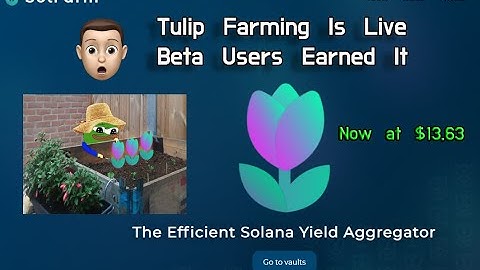 SolFarm Is the First Yield Aggregator on Solana and Tulip Token Launched