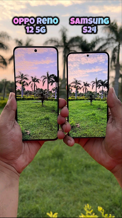 Oppo Reno 12 5g vs Samsung Galaxy S24 Camera Test #opporeno12 #oppo #s24 #samsung #shorts