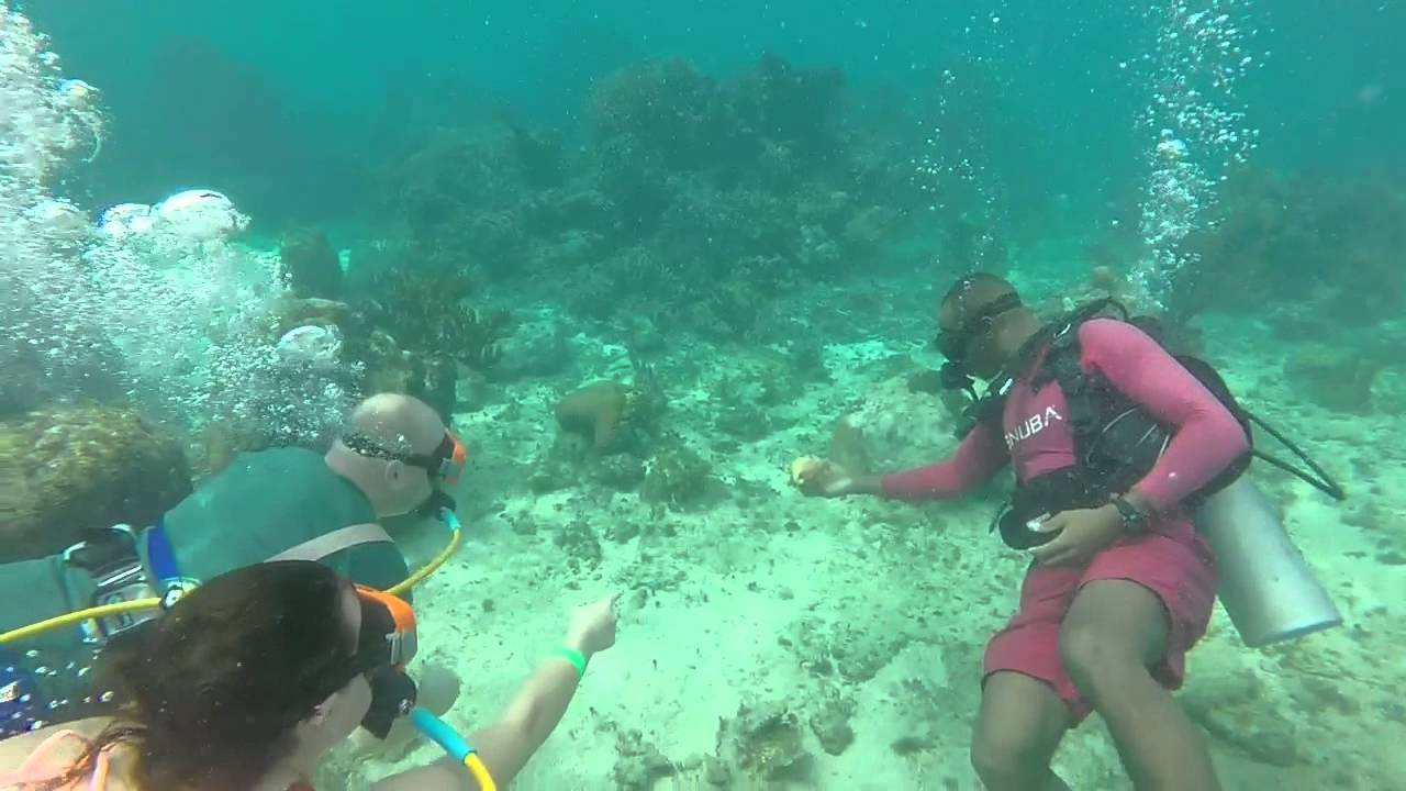 Snuba Roatan Snuba Adventure in Roatan, Honduras - YouTube