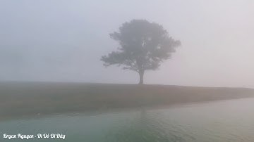 Đi Đồi Cỏ Hồng & Cây Thông Cô Đơn