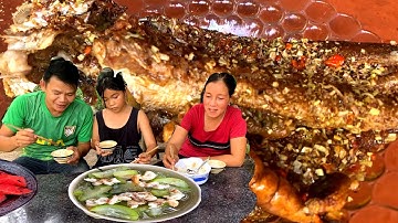 Ngọt Lịm Tô Canh Bầu Cá Lóc Đồng Chiên Sả Ớt Bữa Cơm Người Miền Tây | MLTQ