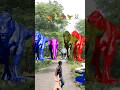 Big dinosaur chase T-rex chasingpart -1621#shorts #dinosaur#youtube#dinosaurs #superman#ddininner🐯🦣🦖