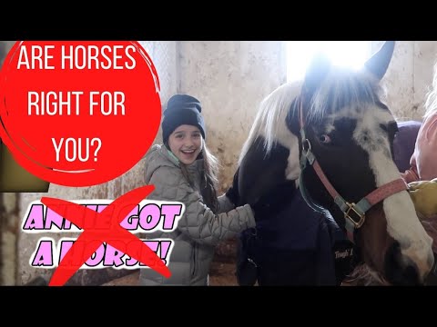 Video: Nackdel med att äga en häst