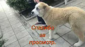 АНТОНІНА МОТОРІНА