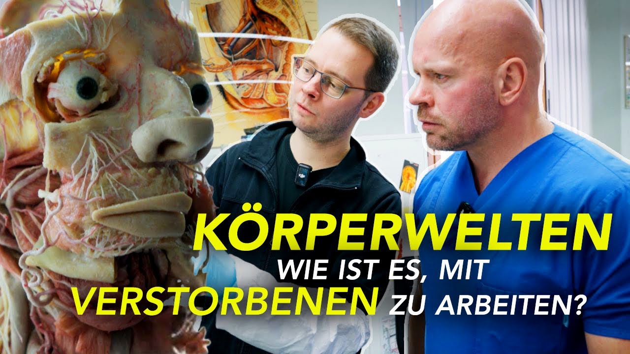KÖRPERWELTEN – Wie ist es, mit Verstorbenen zu arbeiten?