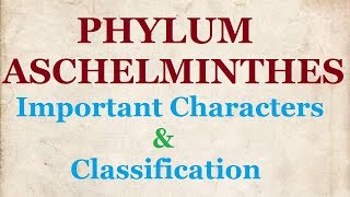 Phylum Aschelminthes - Important Characters, Classification, Phasmidia, Aphasmidia, NCERT 11 BIOLOGY