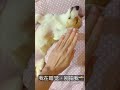 我在睡觉 别拍我 小狗睡觉 柯基短腿 可爱小狗 我在睡觉 别拍我 小狗睡觉 柯基短腿 可爱小狗