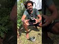 🌱Natural pain relief with plants in our back yard… #nature
