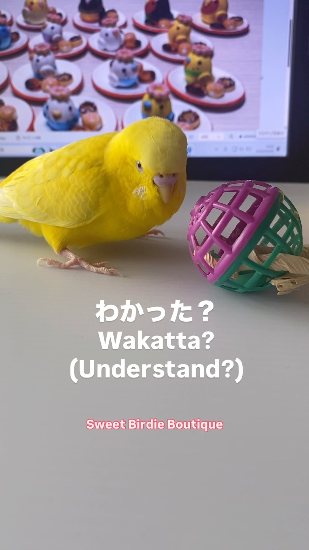 Sweet Birdie Boutique - YouTube