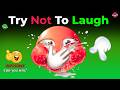 FUNNY VIDEOS Try Not To Laugh Challenge IMPOSSIBLE You Laugh You Lose Part 110