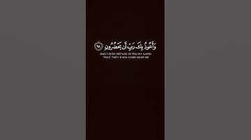 القارئ هيثم الدخين [سُورَةُ المُؤۡمِنُونَ: ٩٧-٩٨]