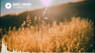 موسيقى للمونتاج | PACIFIC SUN   Nicolai Heidlas Music No Copyright Music